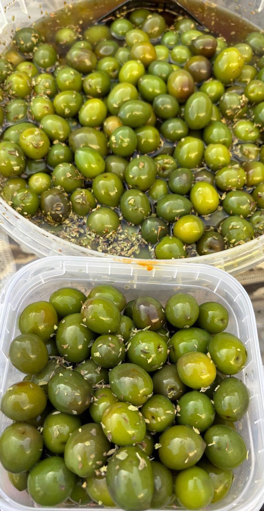 Aceituna Campo Real