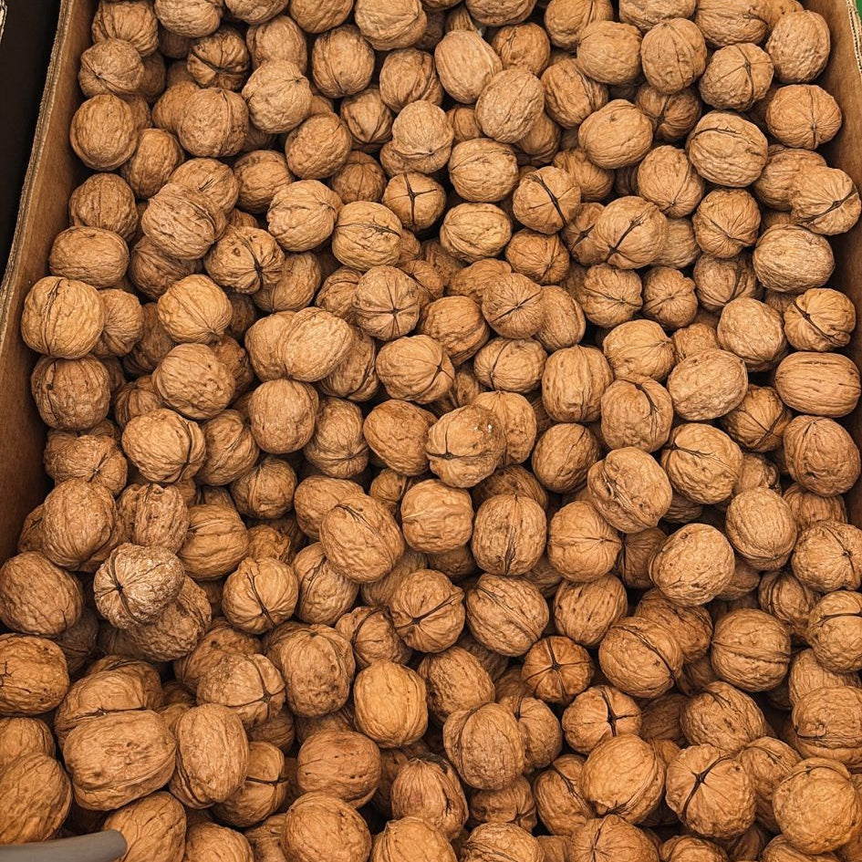 Nueces Extremeñas